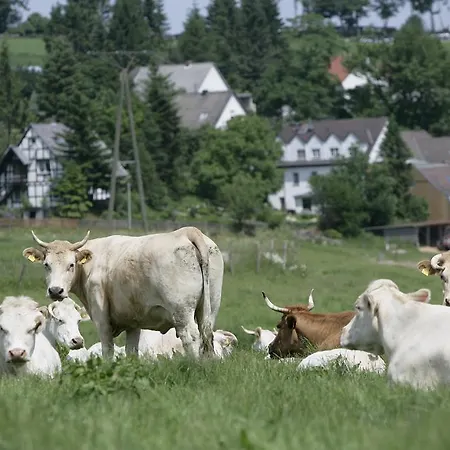 Pensionat Schultenhof
