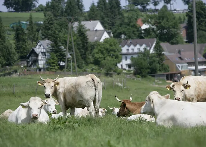 Pensionat Schultenhof